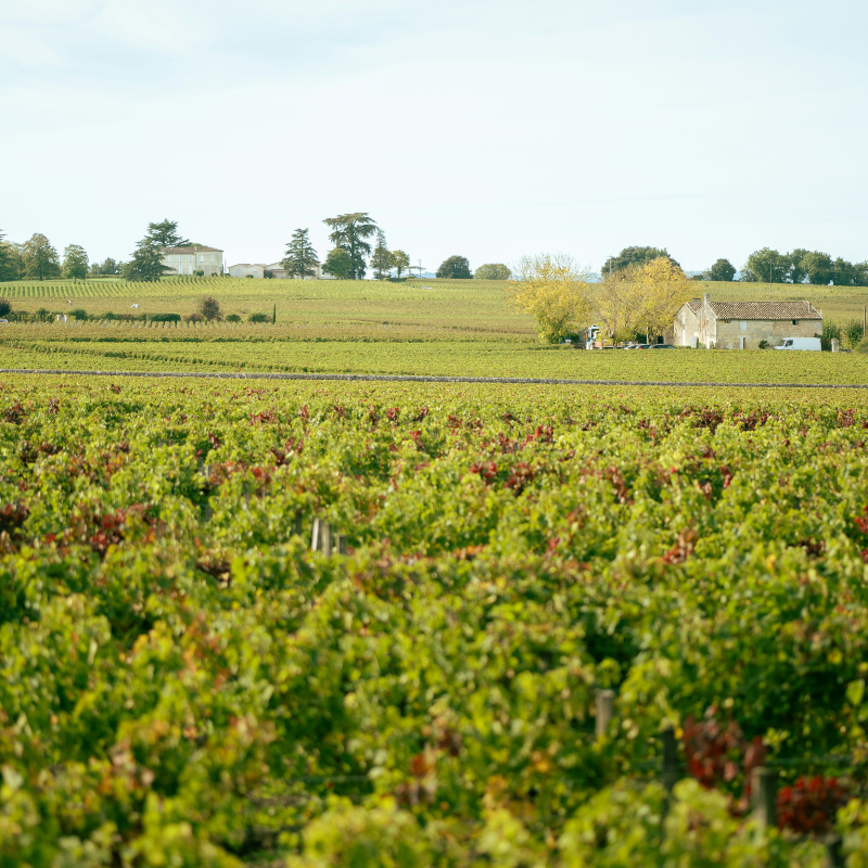 Our Winemakers